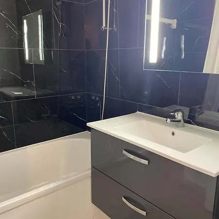 Renove Au Coeur De La Station Pour Skieurs, Parking, Animaux Autorises - Fr-1-513-98 *