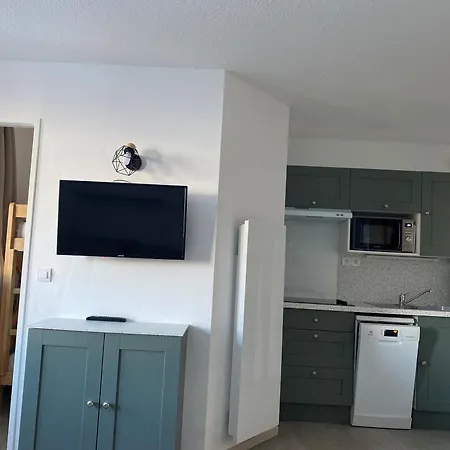 Renove Au Coeur De La Station Pour Skieurs, Parking, Animaux Autorises - Fr-1-513-98 Daire *