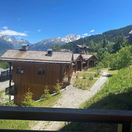 Renove Au Coeur De La Station Pour Skieurs, Parking, Animaux Autorises - Fr-1-513-98 *
