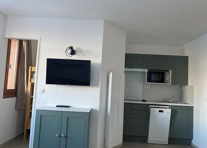 Renove Au Coeur De La Station Pour Skieurs, Parking, Animaux Autorises - Fr-1-513-98 Daire *